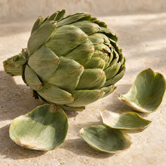 Artichoke Leaf